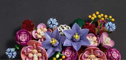 LEGO Botanicals