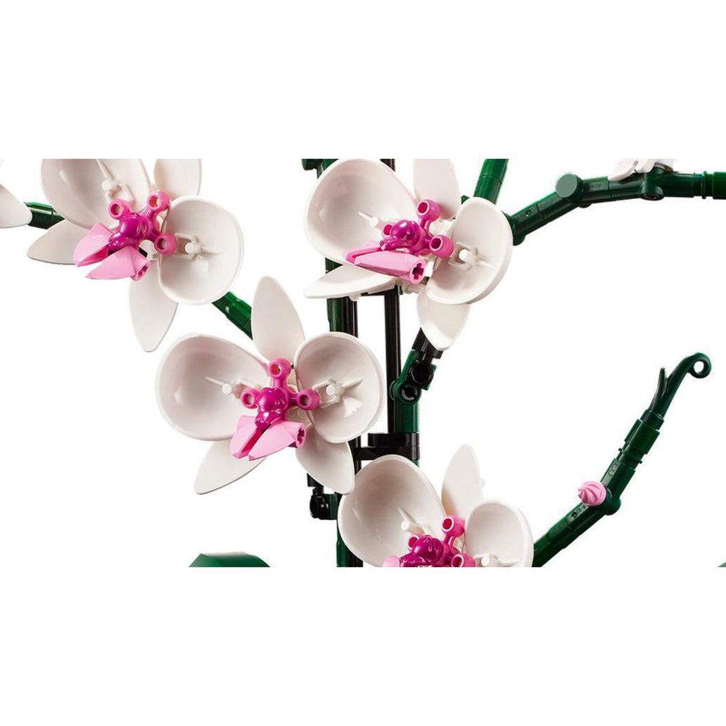 LEGO Botanicals 10311 Orchid-5