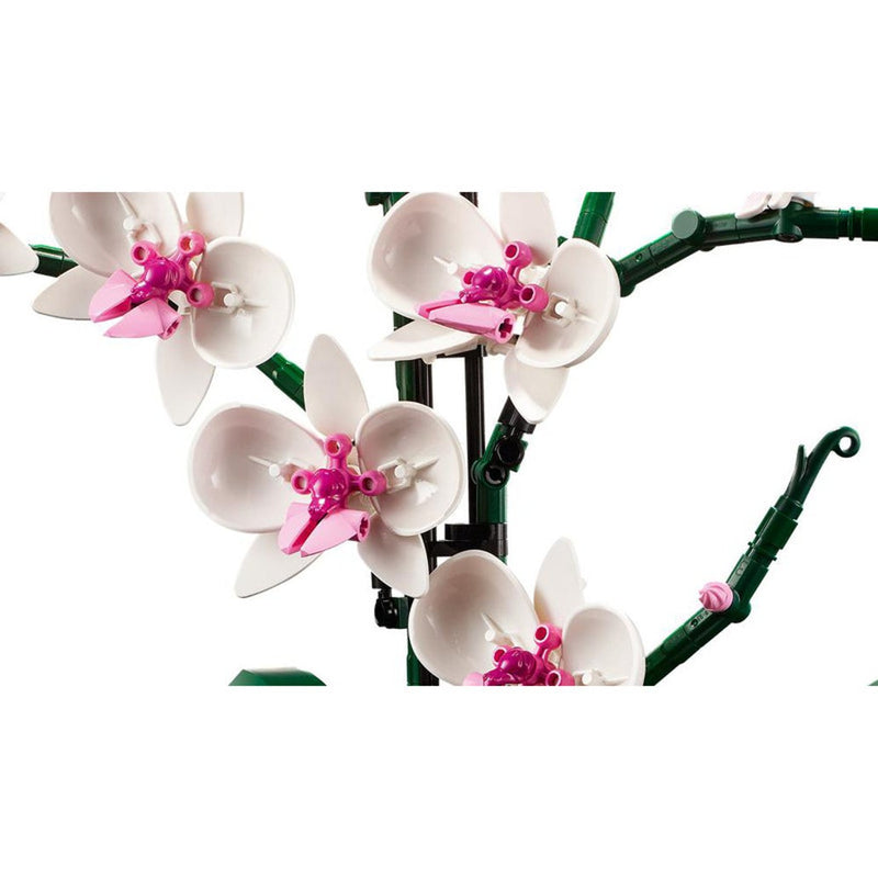 LEGO Botanicals 10311 Orchid-5