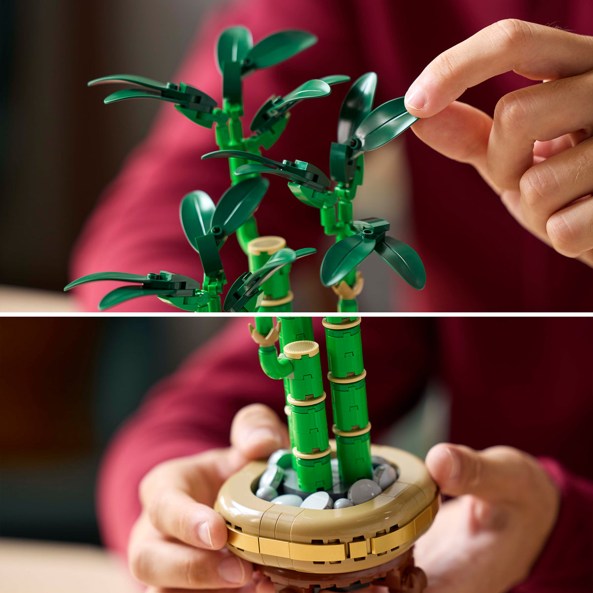 LEGO Icons 10344 Lucky Bamboo-4