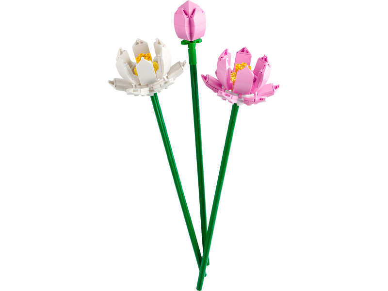 LEGO Iconic 40647 Lotus Flowers-3